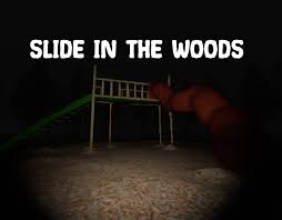 Slide in the Woods